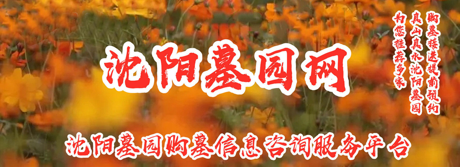 百联文化