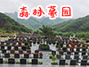 森林墓园