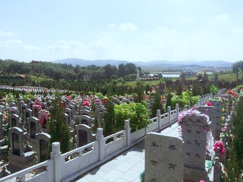 骏龙泉墓园购墓接送