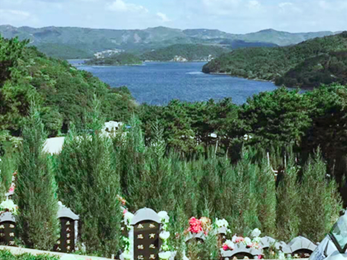 大河贝墓园优惠活动