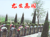 龙生墓园