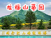 龙福山墓园