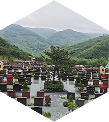 沈阳森林公墓